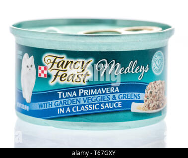 Winneconne, WI - 26 April 2019: eine Dose Fanscy fest medleys Katzenfutter auf einem isolierten Hintergrund Stockfoto