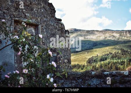 Eine verlassene Architektur in einem Feld mit Grün in der Vorne Stockfoto