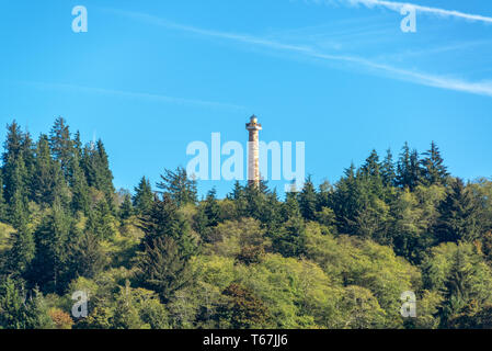 Ansicht des Astoria Spalte steigen über einen Wald in Astoria, Oregon Stockfoto