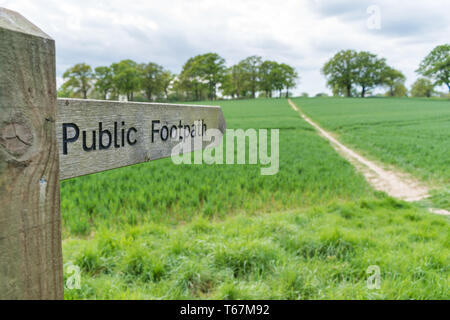 Nahaufnahme eines öffentlichen Fußweg Anmeldung Surrey, Großbritannien. Die fingerpost weist auf einen schlammigen Weg Kreuzung ein Feld an Bäumen in der Ferne unter Wolken. Stockfoto