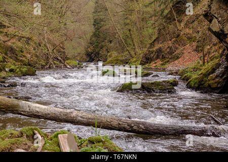 Creek Bode in das Bodetal, Harz, Deutschland Stockfoto