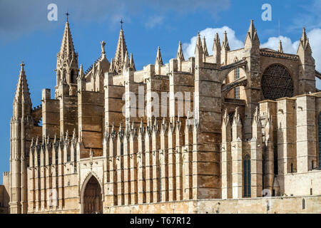 Kathedrale von Palma de Mallorca La Seu, das mittelalterliche gotische historische Denkmal blauer Himmel Stockfoto