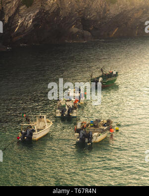 Boote in einem kleinen Hafen, Porto de Barcas, Portugal Stockfoto