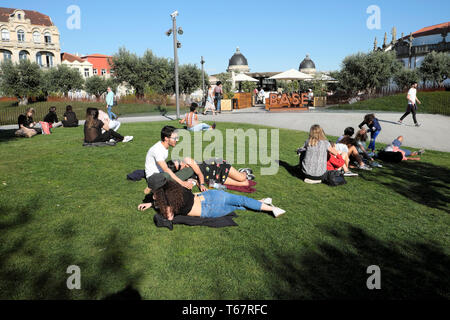 Blick auf Olivenbäume & Menschen Schüler entspannten Sitzen auf dem Rasen durch Base Porto Cafe in der Jardim das Oliveiras, Praça de Lisboa Porto KATHY DEWITT Stockfoto