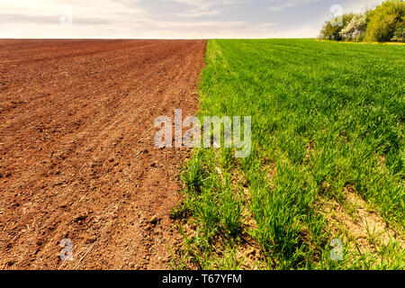 Furchen Zeile Muster in den Furchen des Feldes für die Anpflanzung von Kulturpflanzen vs wachsenden Weizen vorbereitet. Horizontale Ansicht in der Perspektive mit Cloud und blauer Himmel und Fo Stockfoto