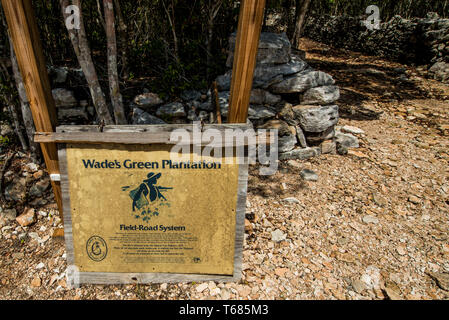 Wade's Green Plantation Historic Site, Kew, North Caicos, Turks- und Caicosinseln, Karibik. Stockfoto