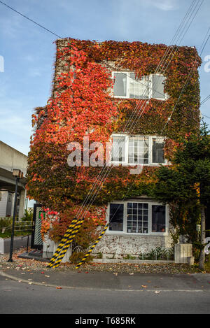 Ein Gebäude mit Efeu in Abashiri, Hokkaido, Japan abgedeckt Stockfoto