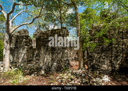 Wade's Green Plantation Historic Site, Kew, North Caicos, Turks- und Caicosinseln, Karibik. Stockfoto