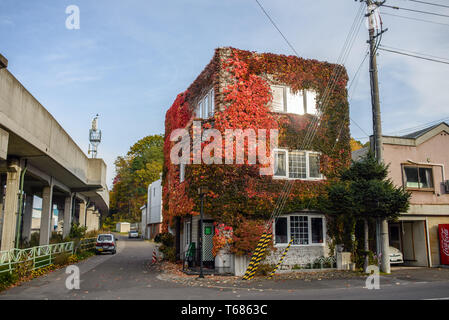 Ein Gebäude mit Efeu in Abashiri, Hokkaido, Japan abgedeckt Stockfoto