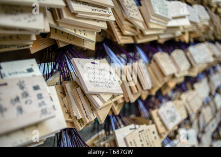 Holzbretter mit Wünschen auf Anzeige am Meiji Schrein, Yoyogi Park, Tokio, Japan Stockfoto