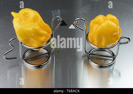 Paprika (Capsicum chinense) Stockfoto