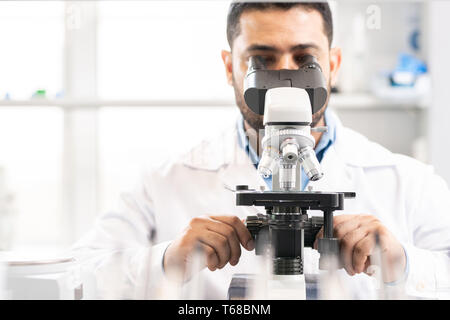 Einstellen der Mikroskop im Labor Stockfoto