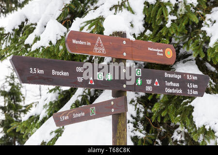 Winter im Nationalpark Harz, Deutschland Stockfoto