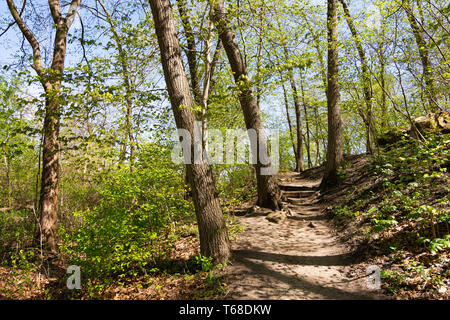 Wanderweg durch den Wald an einem schönen Frühlingsmorgen. Verhungert Rock State Park, Illinois, USA Stockfoto