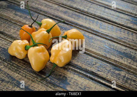 Farben und Aromen von Pfeffer Stockfoto