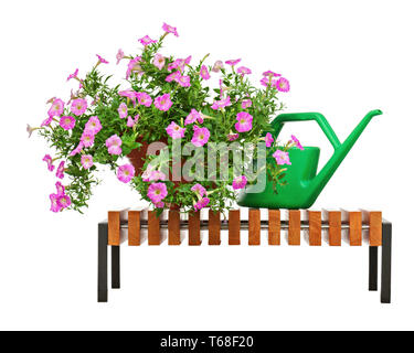 Rosa petunia Blumen mit Garten Zubehör auf weißem Hintergrund. Stockfoto