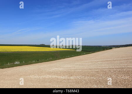 Farbenfrohe Landschaft Landschaft der Yorkshire Wolds im Frühling Stockfoto