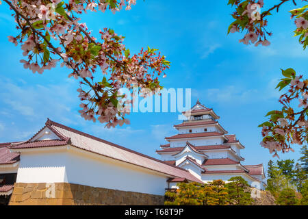 Aizuwakamatsu Schloss und Kirschblüte in Fukushima, Japan Aizuwakamatsu, Japan - 21 April 2018: aizu-wakamatsu Schloss und Kirschblüte gebaut von einem Stockfoto