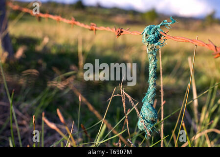 Nahaufnahmen von einem Stück grünen Seil hängend eine verrostete Barb wired Zaun in einem Feld. In den Anden im Zentrum von Kolumbien. Stockfoto