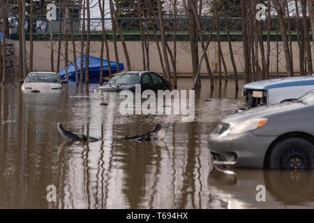 Pierrefonds-Roxboro, Quebec, Kanada - 29 April 2019: Autos im Frühjahr Hochwasser überflutet Stockfoto