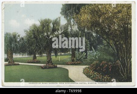 Postkarte des Rose Garden am Neuen Ocklawaha Hotel in Eustis, Florida, 1914. Von der New York Public Library. () Stockfoto