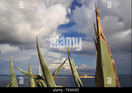 Leuchtturm am Meer mit Agave im Vordergrund. Stockfoto