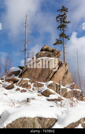 Winter im Nationalpark Harz, Deutschland Stockfoto
