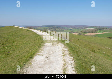 Pfad auf dem Iron-Age Hill fort auf St. Roche's Hill genannt das Trundle, Goodwood, Sussex, UK, April. South Downs National Park. Stockfoto