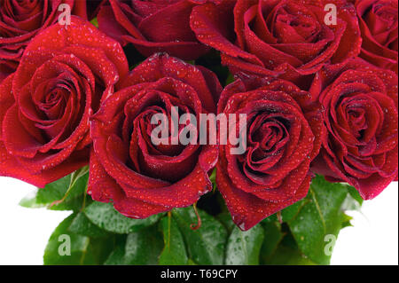 Bunter Blumenstrauß aus roten Rosen. Stockfoto