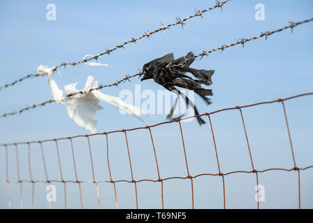Zerrissen Plastiktüten gefangen auf einem Stacheldrahtzaun weht im Wind Stockfoto