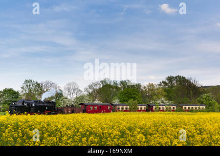 Narrow-Gauge Eisenbahn Harzquerbahn genannt, Selketal, Harz, Deutschland Stockfoto