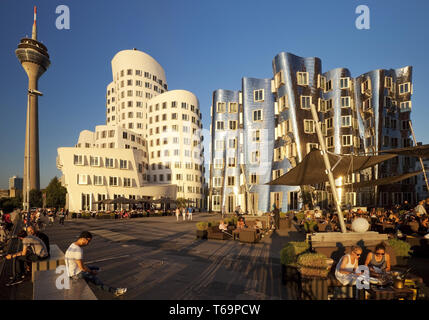 Neue Zollhof, Gehry Gebäude mit dem Rheinturm, Düsseldorf, Nordrhein-Westfalen, Deutschland Stockfoto