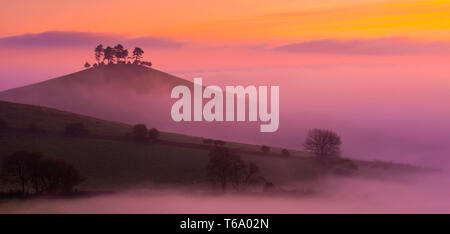 Colmers Hill, Bridport, Dorset, Großbritannien. 30.April 2019. UK Wetter: herrlich leuchtenden Sonnenaufgang am Colmers Hill, Dorset. Die Bäume auf der ikonischen Wahrzeichen sind gegen den herrlichen Sonnenaufgang Farben auf einem nebligen Morgen. Credit: Celia McMahon/Alamy Leben Nachrichten. Stockfoto