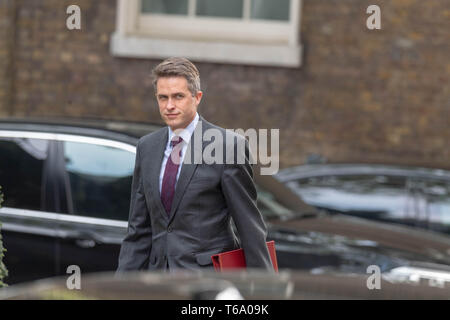 London, 30. April 2019, Gavin Williamson, MP PC, format Verteidigungsminister, kommt an einer Kabinettssitzung am 10 Downing Street, London Quelle: Ian Davidson/Alamy leben Nachrichten Stockfoto