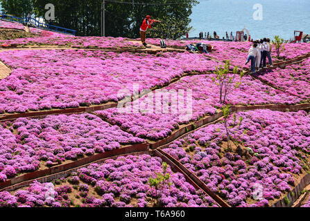 Tangshan, Provinz Hebei Provinz Chinas. 30 Apr, 2019. Touristen besuchen Yuhuagu Scenic Area in Tangshan, Qianxi County im Norden der chinesischen Provinz Hebei, 30. April 2019. Credit: Li Shaohua/Xinhua/Alamy leben Nachrichten Stockfoto