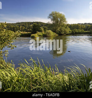 Ruhr in Bochum, Deutschland, Nordrhein-Westfalen, Ruhrgebiet, Bochum Stockfoto