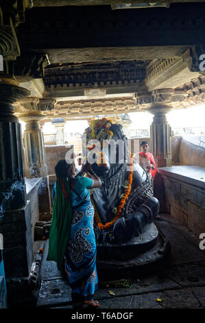 Frau mit heiligen Nandi (Stier), Puja Rituals an Kedareshvara Tempel Stockfoto