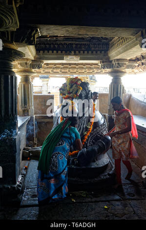 Frau mit heiligen Nandi (Stier), Puja Rituals an Kedareshvara Tempel Stockfoto