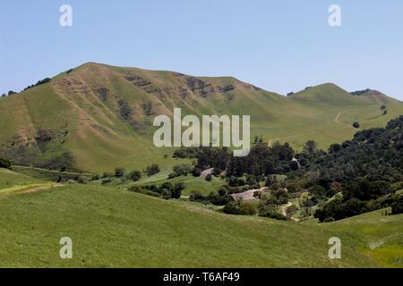 Black Diamond Mines Regional Preserve, Antioch, Kalifornien Stockfoto