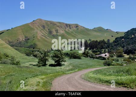 Black Diamond Mines Regional Preserve, Antioch, Kalifornien Stockfoto