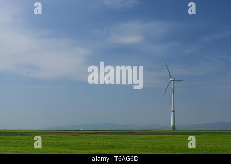 grüne Wiese mit Windkraftanlagen zur Stromerzeugung Stockfoto