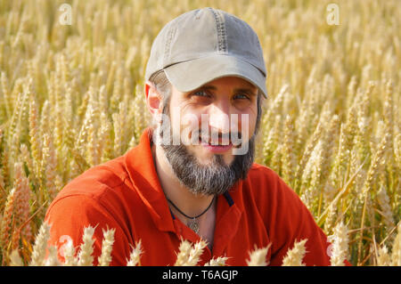 Bärtiger Mann sitzen in einem Weizenfeld an einem sonnigen Tag Stockfoto