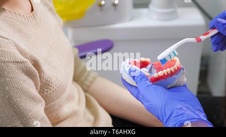 Frau Zahnarzt, Patient auf einen Kiefer Modell wie die Zähne mit der Zahnbürste gründlich zu reinigen, Hände, Nahaufnahme. Stockfoto