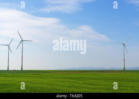 grüne Wiese mit Windkraftanlagen zur Stromerzeugung Stockfoto