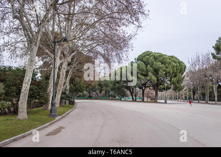 Gasse in Parque del Buen Retiro - Retiro Park in Madrid, Spanien Stockfoto