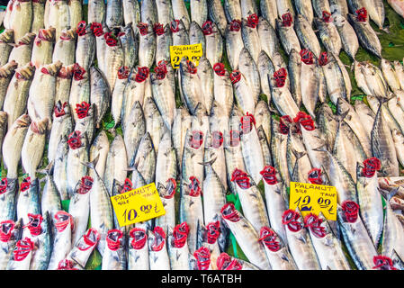 Viele Fische auf einem Fischmarkt in Istanbul, Türkei Stockfoto