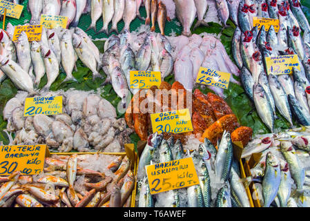 Verschiedene Arten von Fischen zum Verkauf auf einem Markt in Istanbul, Türkei Stockfoto