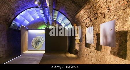 Museum timetunnel in einem ehemaligen Bergbau Tunnel der Bochumer Bruch, Wülfrath, Bergisches Land, Deutschland Stockfoto