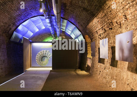 Museum timetunnel in einem ehemaligen Bergbau Tunnel der Bochumer Bruch, Wülfrath, Bergisches Land, Deutschland Stockfoto