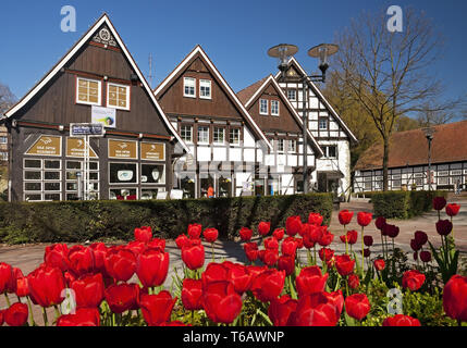 Fachwerkhäuser bei Karl Volke Square im Frühjahr, Bad Sassendorf, Nordrhein-Westfalen, Deutschland Stockfoto